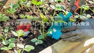 苗木产业正当时，怎么才能生存并做大做强