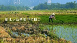 创业示范基地申请报告