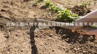 青海乐都区明孝苗木基地到新疆博乐赛里木湖有多少公里