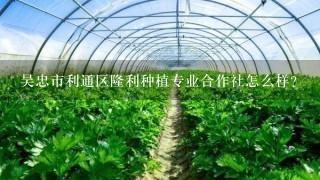 吴忠市利通区隆利种植专业合作社怎么样？