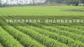 要购买些苗木和花卉，请问去种植基地买便宜还是去花卉市场买便宜？？去顺德买哪个地方更好？？