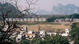 曹璐镇附近那有苗木基地