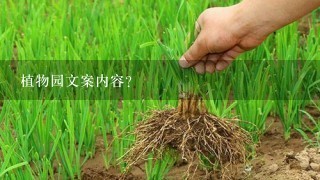 植物园文案内容？