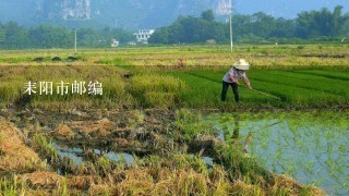 耒阳市邮编