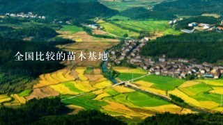 全国比较的苗木基地