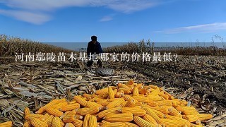 河南鄢陵苗木基地哪家的价格最低？