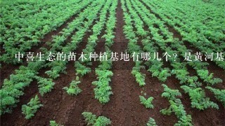 中喜生态的苗木种植基地有哪几个？是黄河基地跟渤海基地吗？