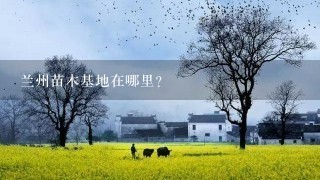 兰州苗木基地在哪里?