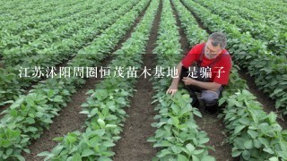 江苏沭阳周圈恒茂苗木基地 是骗子