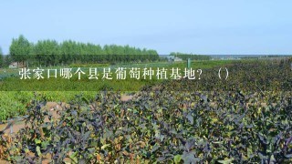 张家口哪个县是葡萄种植基地？（）