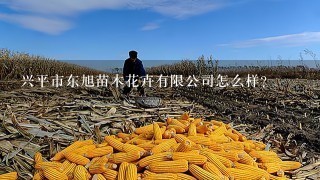 兴平市东旭苗木花卉有限公司怎么样？