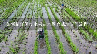 如何制订优良水果苗木繁育基地管理流程