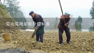 荒山荒地征收补偿标准