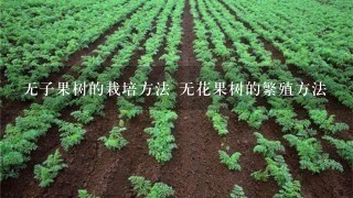 无子果树的栽培方法 无花果树的繁殖方法