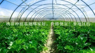 桃苗种植基地哪家好，价格便宜？要地区的