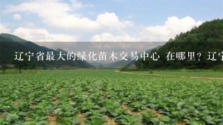 辽宁省最大的绿化苗木交易中心 在哪里？辽宁省种植花卉苗木 最多的是什么地方？