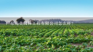 广东苑美园林工程有限公司怎么样？