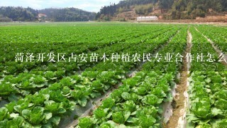 菏泽开发区占安苗木种植农民专业合作社怎么样？