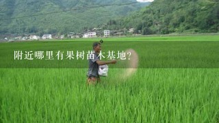 附近哪里有果树苗木基地？