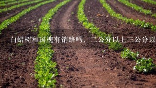 白蜡树和国槐有销路吗，2公分以上3公分以下多少钱？