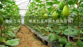 谁能告诉我：哪里有花卉苗木批发市场？