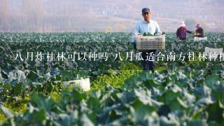 8月炸桂林可以种吗 8月瓜适合南方桂林种植吗