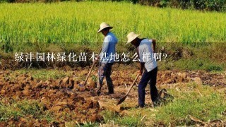 绿沣园林绿化苗木基地怎么样啊？