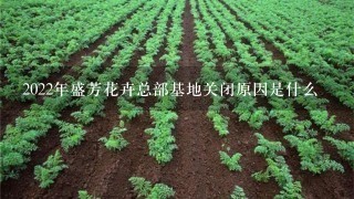 2022年盛芳花卉总部基地关闭原因是什么