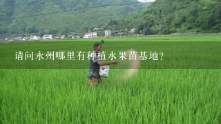 请问永州哪里有种植水果苗基地？