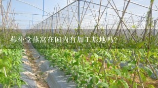 燕补堂燕窝在国内有加工基地吗？