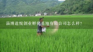 淄博道悦创业孵化基地有限公司怎么样？