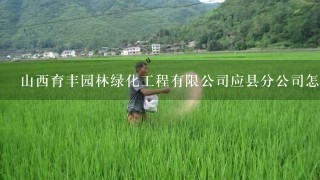 山西育丰园林绿化工程有限公司应县分公司怎么样？