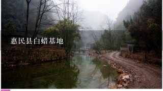 惠民县白蜡基地