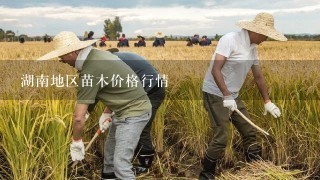 湖南地区苗木价格行情