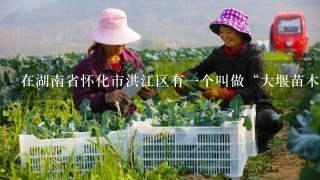 在湖南省怀化市洪江区有一个叫做“大堰苗木基地”的地方吗？如果是的话，它是什么地方呢？