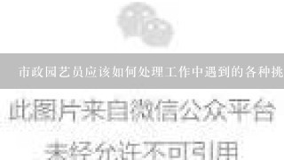 市政园艺员应该如何处理工作中遇到的各种挑战（如天气条件不佳）以保持高效率运行？