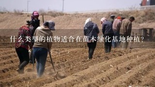 什么类型的植物适合在苗木绿化基地种植？