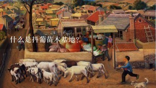 什么是抖葡苗木基地？