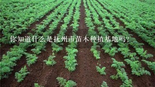 你知道什么是抚州市苗木种植基地吗？