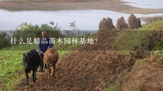 什么是精品苗木园林基地？