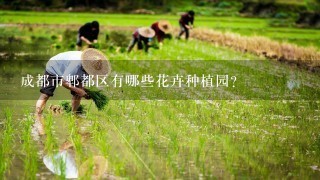 成都市郫都区有哪些花卉种植园？