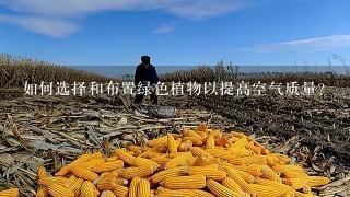 如何选择和布置绿色植物以提高空气质量？