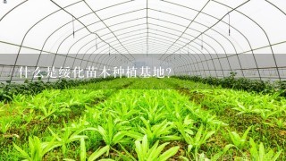 什么是绥化苗木种植基地？