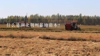 什么是湖北荆州基地苗木？