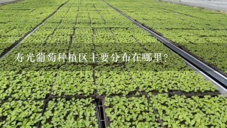 寿光葡萄种植区主要分布在哪里？