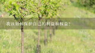 我该如何保护自己的利益和权益？