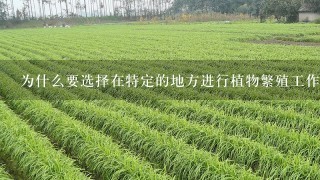 为什么要选择在特定的地方进行植物繁殖工作呢？这与环境条件有关系么？