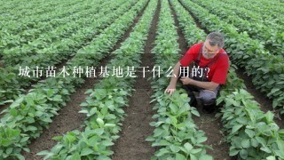 城市苗木种植基地是干什么用的？