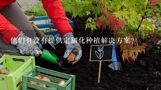 他们有没有提供定制化种植解决方案