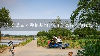 什么是苗木种植基地它有什么特点和优势吗